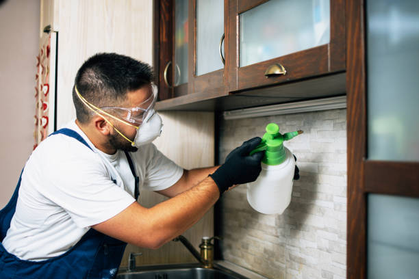 Best Pest Prevention Services  in Sayre, PA