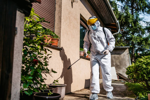 Best Residential Pest Control  in Sayre, PA